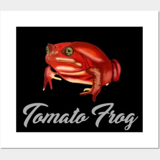 Tomato Frog Labeled Posters and Art